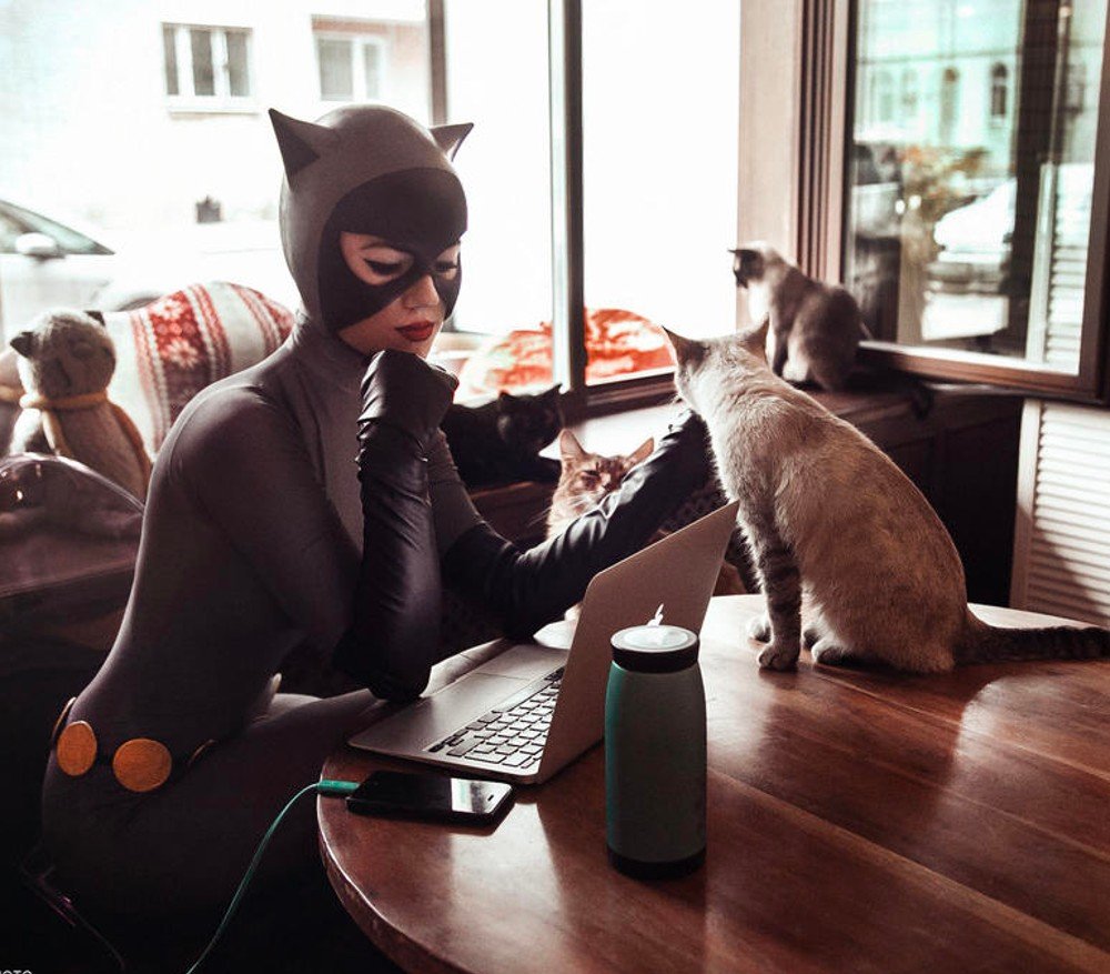 Catwoman Cats, Cat, Vision care, Eyewear, Window, Laptop, Comfort, Computer, Table
