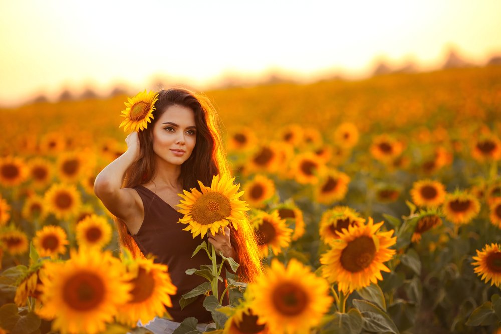 Sunset Photography Girl With Sunflower, Flower, Plant, Sky, Daytime, Photograph, Ecoregion, Light, People in nature, Nature, Natural environment
